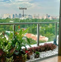 Cairnhill Crest (D9), Condominium #574920901